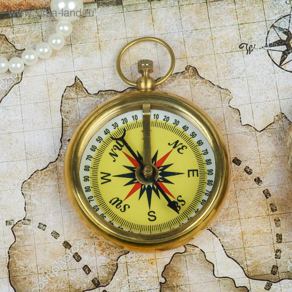 Компас Ritchie navigation Helmsman HF- 742