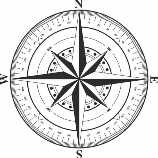 Компасная картушка