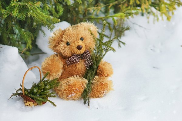 Плюшевый мишка Teddy Bear