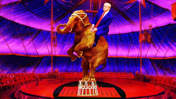 Современный цирк