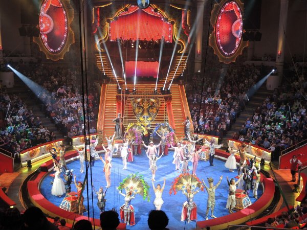 Цирковая Арена манеж