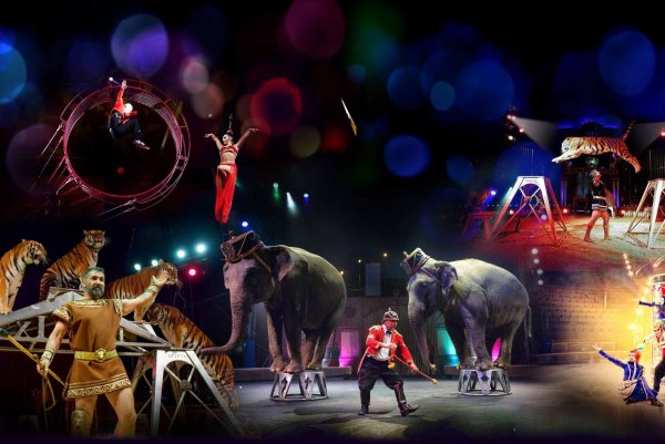 Итальянский цирк Togni артисты