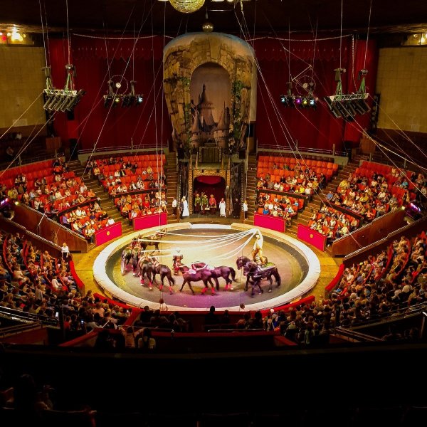 Цирк Брянск Арена