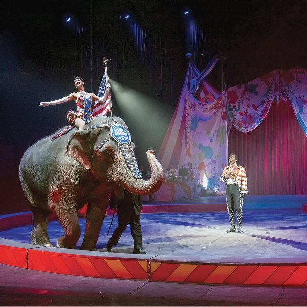 Артисты цирка