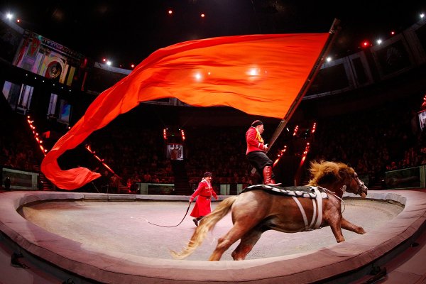 Цирк на Вернадского и100рия