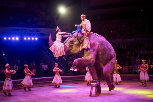 Цирковое искусство