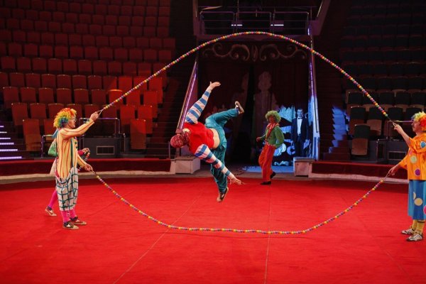 В цирке представление