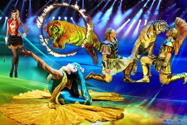 Яркий цирк