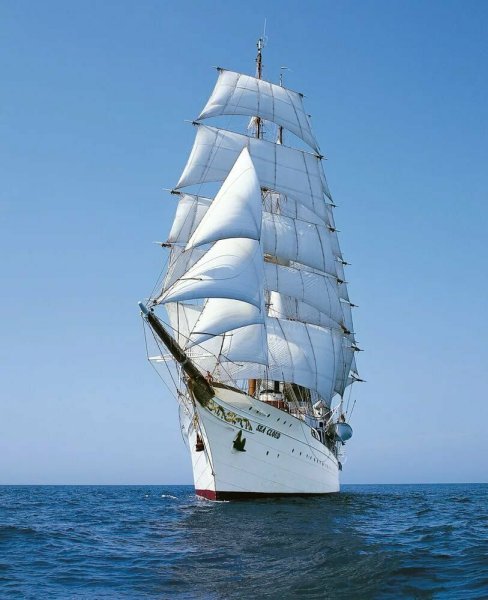 Барк Фрегат Бригантина