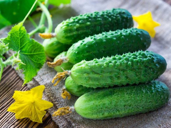 Огурец Пасалимо f1