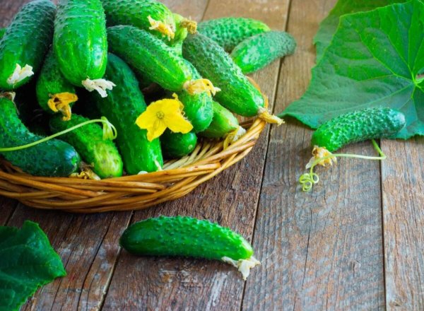 Огурец красавчик Хикмет f1