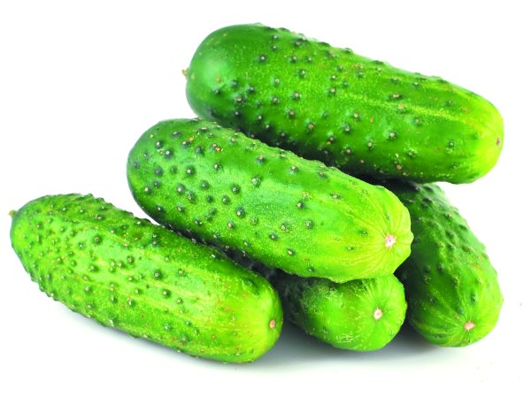 Огурцы короткоплодные 1 кг