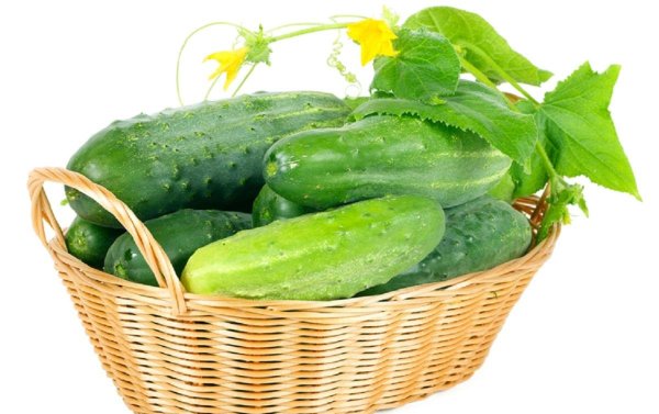 Луховицкий огурец клипарт