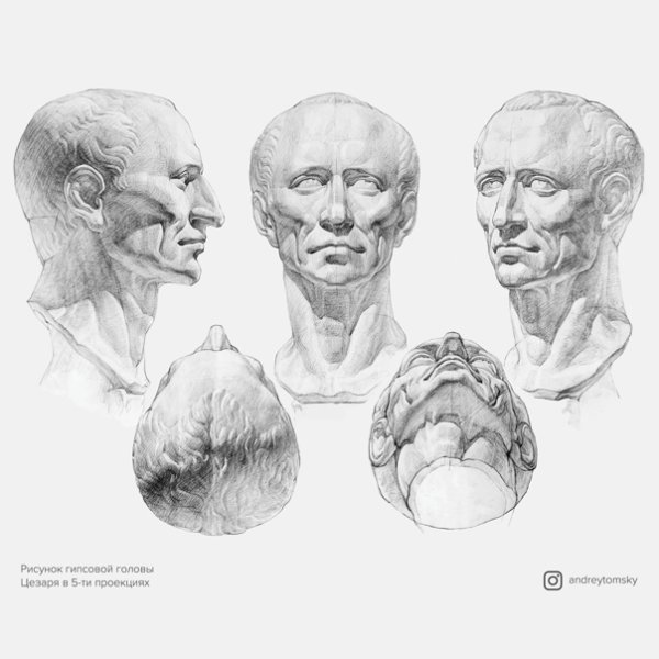 Экорше Гудона голова