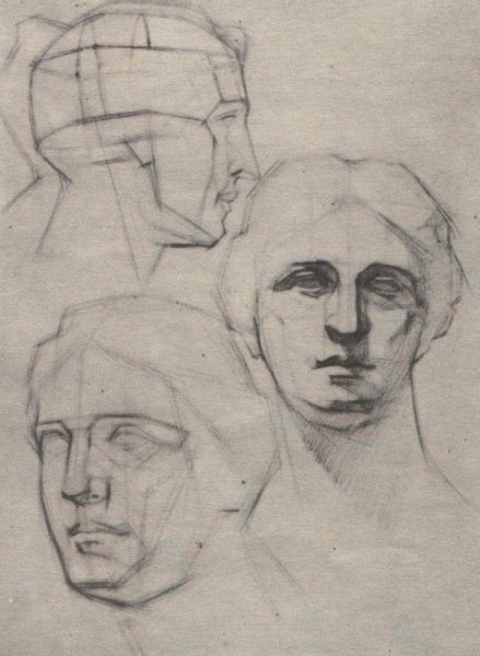 Экорше Гудона голова
