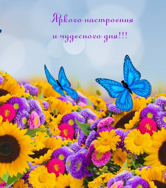 Красивые цветные картинки