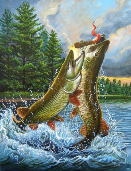 Esox kronneri