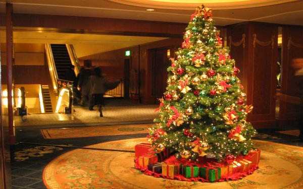 Classic Christmas Tree ель Эванс 0.95
