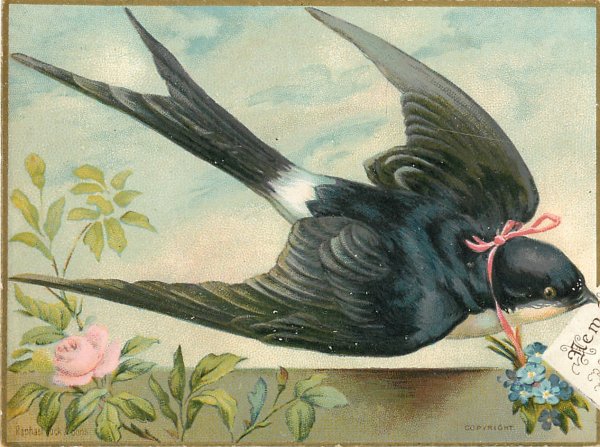 Картина ласточки