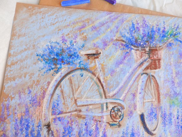 Аннет Логинова велосипед