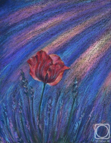 Пастель на наждачной бумаге