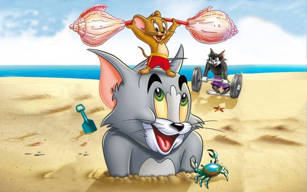 Tom and Jerry Run