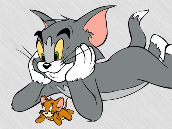 Tom Jerry мультфильм