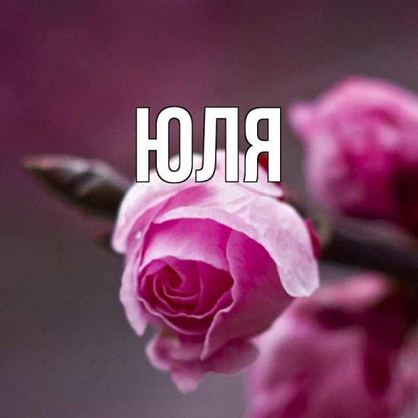 Цветок имени Юлия