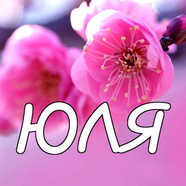 Юльчик надпись