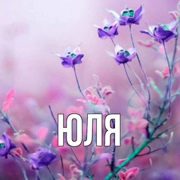 Цветок имени Юлия