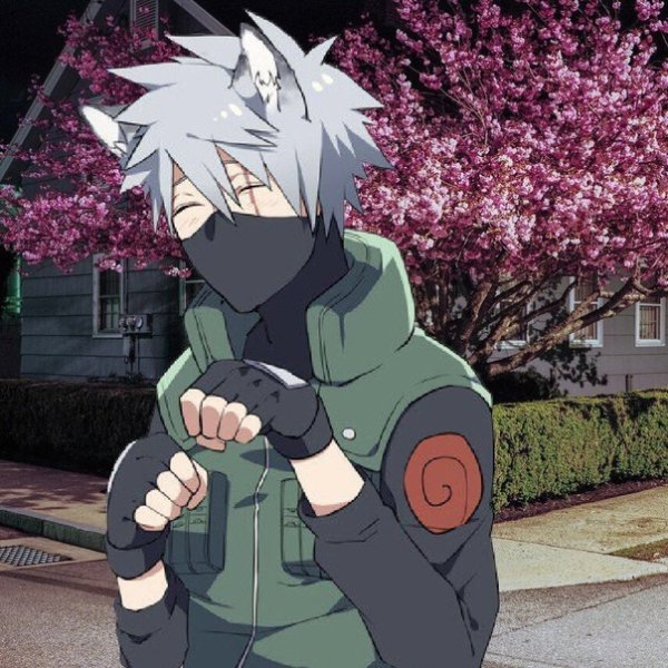 Hatake Kakashi кот