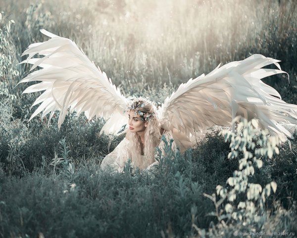 Крылья ангела