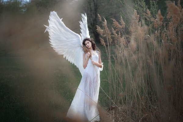 Девушка с крыльями ангела