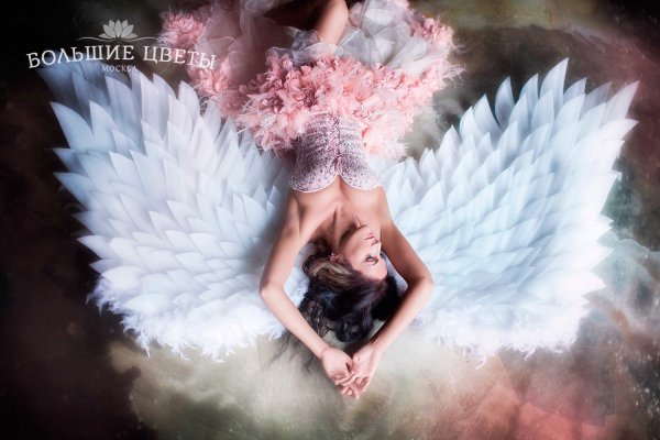 Самые красивые Крылья