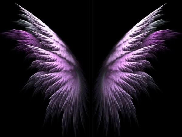 Ангельские Крылья