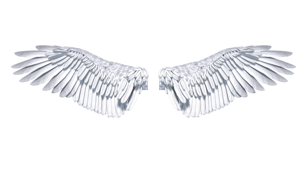 Крылья ангела