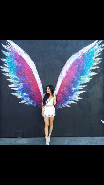 Девушка с самыми красивыми крыльями