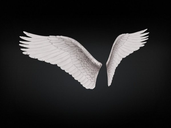 Картинки крылья ангела (46 фото)