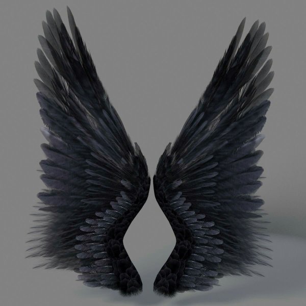 Ангельские Крылья
