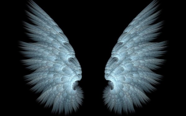 Ледяные Крылья