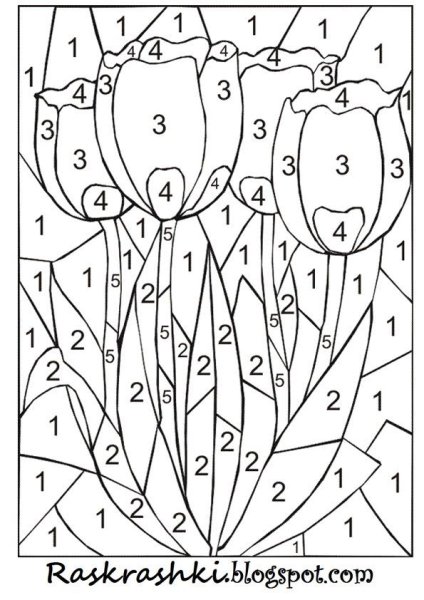 Раскрашивание по цифрам для дошкольников