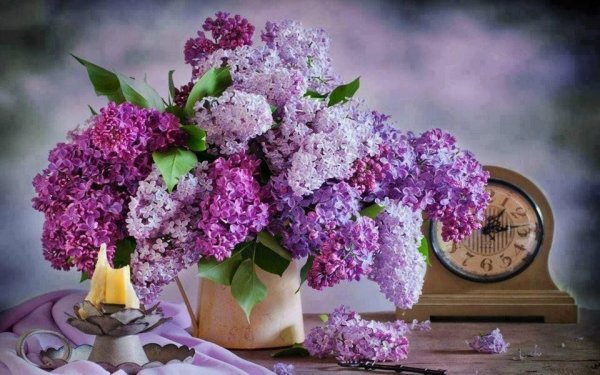 Пышный букет сирени