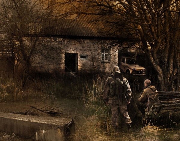 Бар 100 рентген сталкер