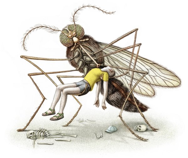 Москиты (комар) / Mosquito