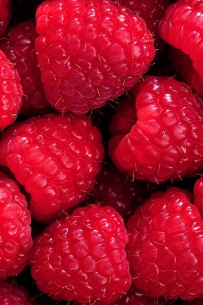 Сонные ягоды