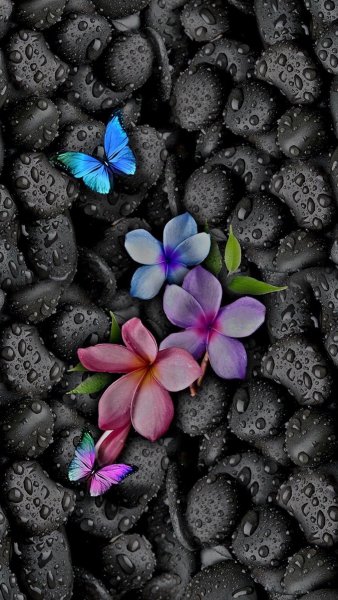 Красивые фотообои на телефон