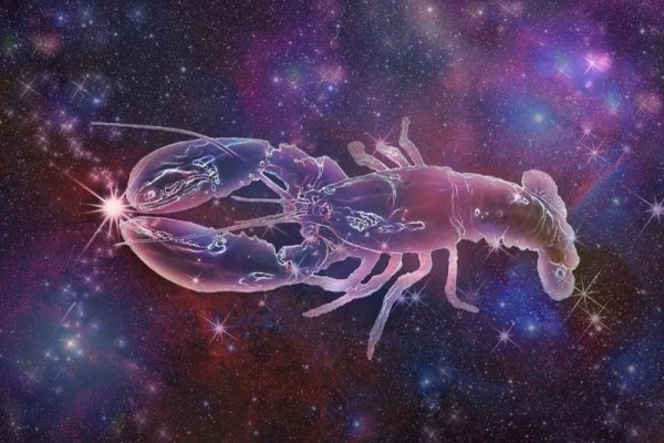 Созвездия 2020 года