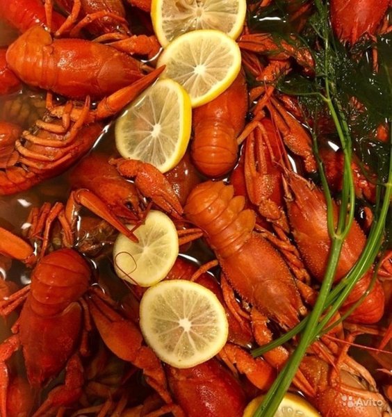 Морские деликатесы