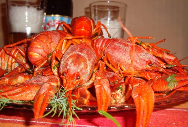 Вареные Крабы к пиву