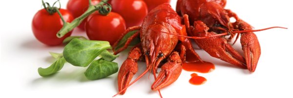 Раковая Новотитаровская